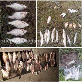 �� ������� ������������ ������������� ������� ������� 419 �� ��������� ������ ����